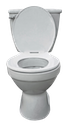 White toilet